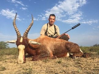 Blesbuck