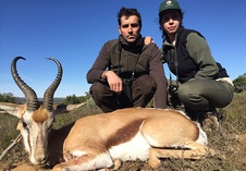 Springbuck