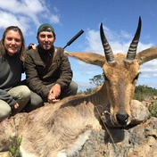 Mountain Reedbuck