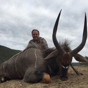 Nyala
