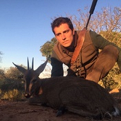 Duiker