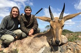 Mountain Reedbuck