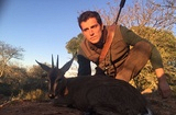 Duiker