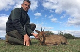 Duiker