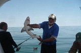 Deep Sea Fishing Port Alfred