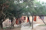 Bungalows 1-4 & 7-8 